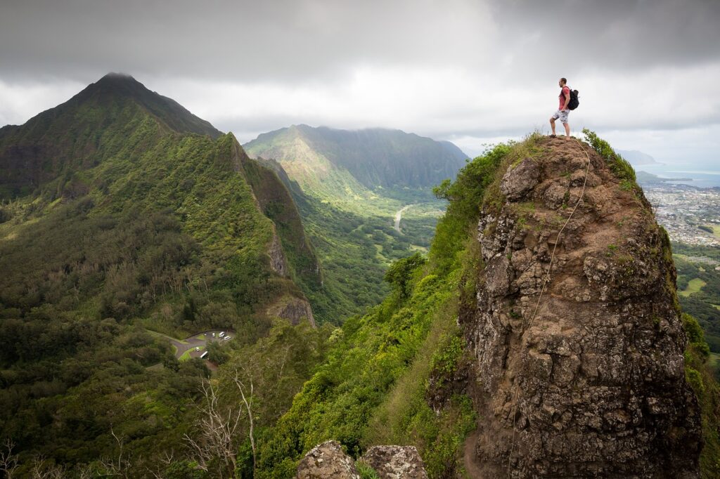 adventure, forest, hiker