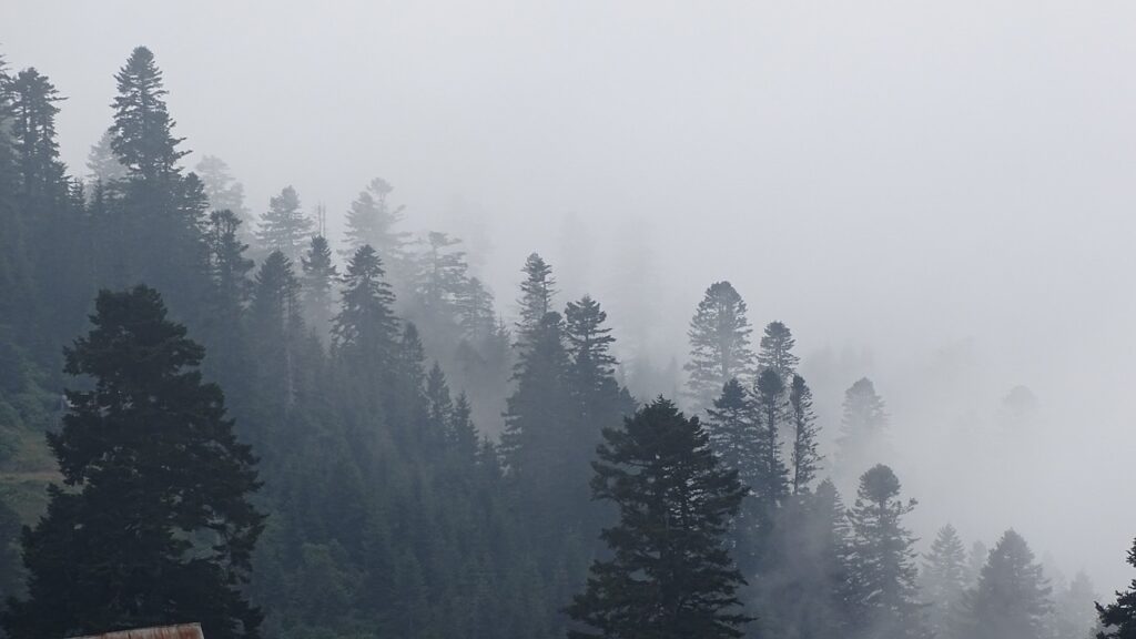 georgia, mountains, fog