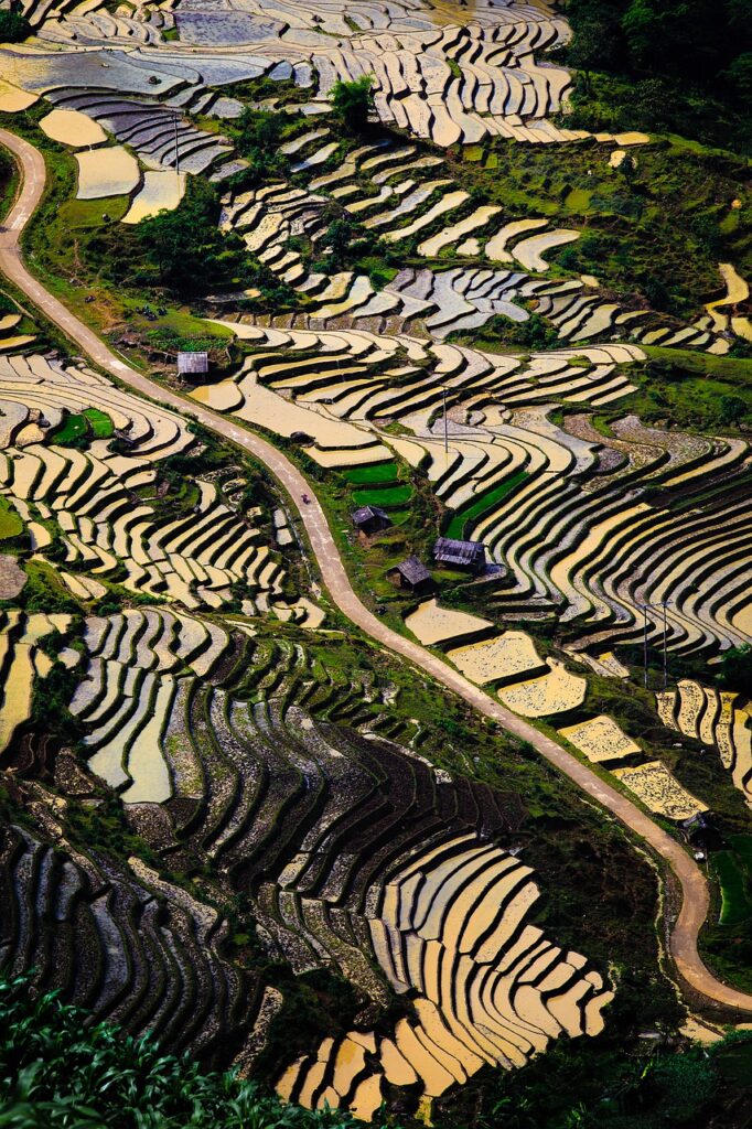 mountains, landscapes, vietnam