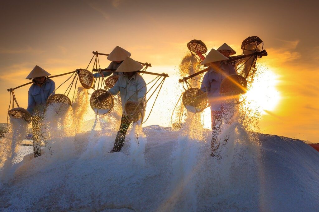 salt, field, province