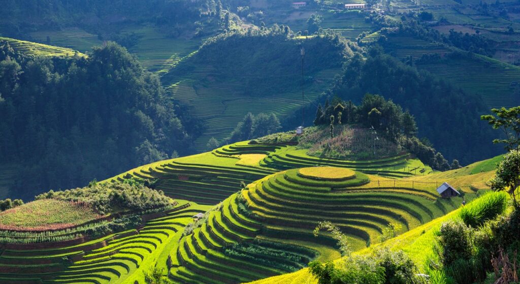 scenery, silk, terraces