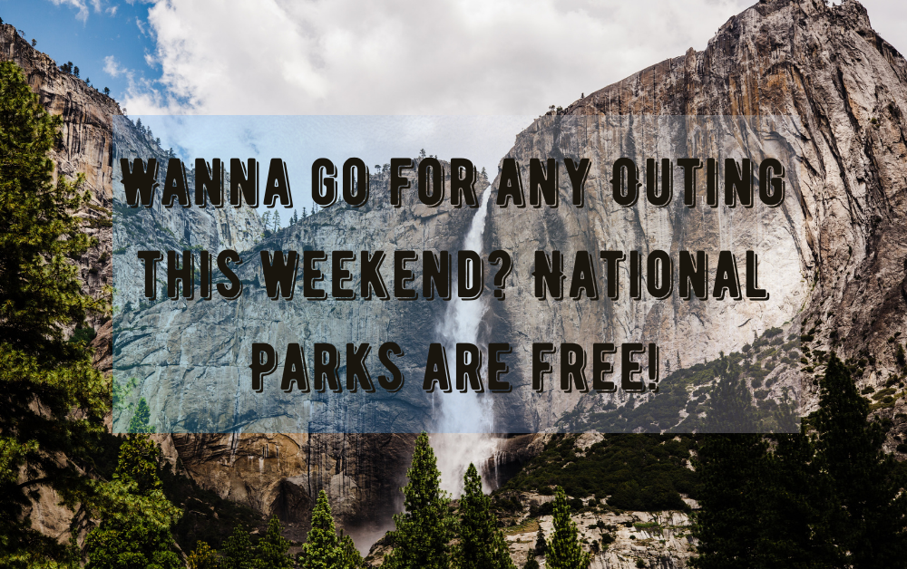 Wanna go for any Outing this weekend? National Parks are free!