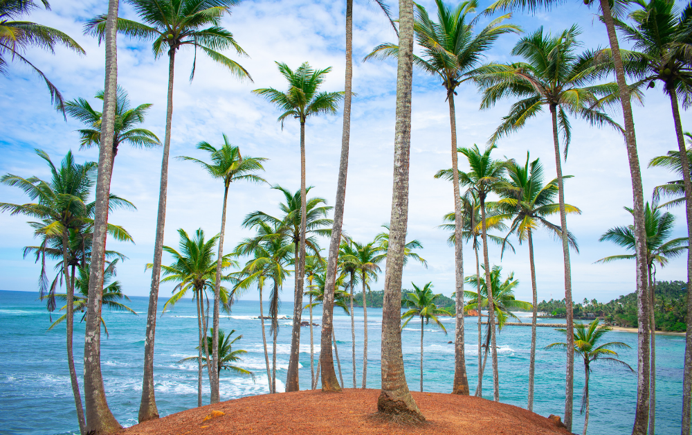 Sri Lanka’s First Ever Agro-Tourism Floating Resort Will Open Soon For Tourists!