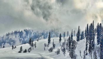 IMG_20200130_150928-01