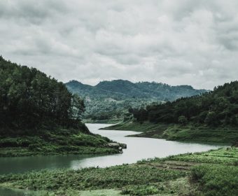 green-grass-field-and-mountain-1034887.jpg