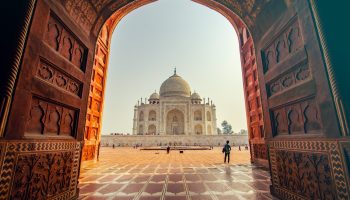 sylwia-bartyzel-eU4pipU_8HA-unsplash (1)